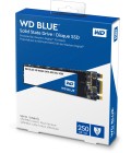WD Blue 3D NAND SATA SSD Unità allo Stato Solido Interna M.2, 2 TB